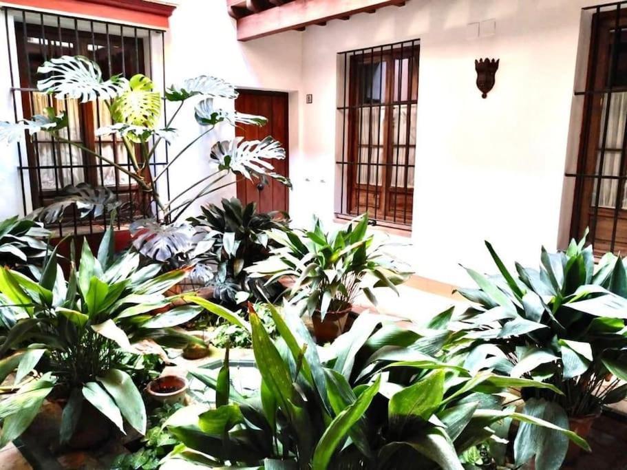 Loft & Private Rooftop With Bbq Seville Luaran gambar