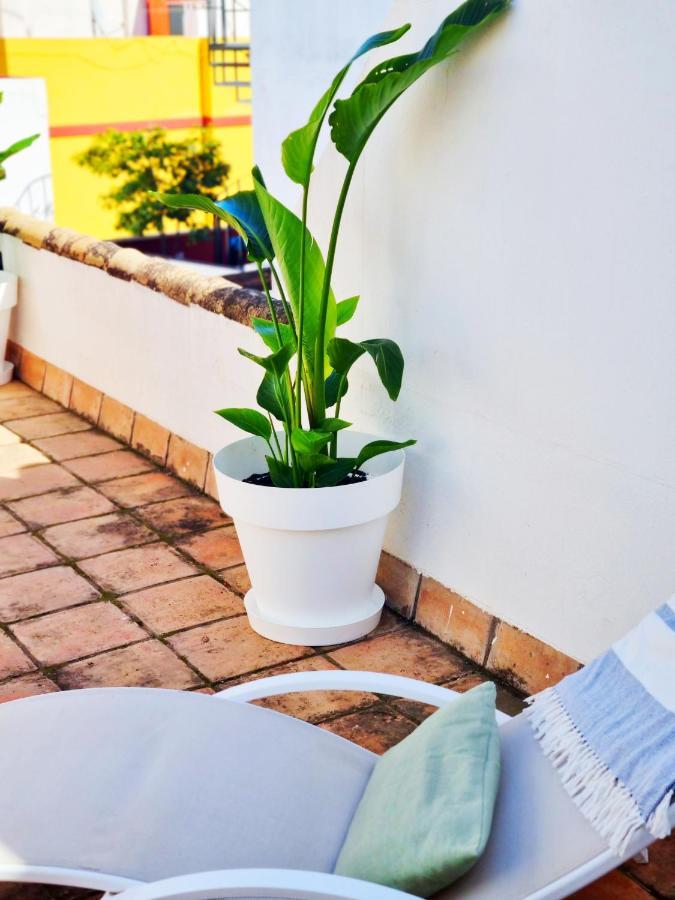 Loft & Private Rooftop With Bbq Seville Luaran gambar
